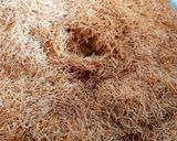 A picture of step 1 of Kunafa.