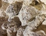 Fűszeres Ropogós Csirkeszárnyak recept fázis 1 fotója