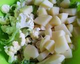 Cauliflower veggie recipe step 1 photo