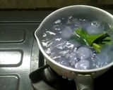 Foto langkah ke 5 dari resep Es Gempol Bunga Telang.