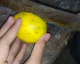 Foto langkah ke 1 dari resep 🍋 Lemon Hangat 🍋.