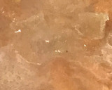 Foto del paso 5 de la receta: Mermelada de caquis de mi arbolito
