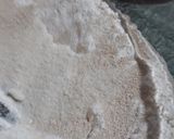 Foto del paso 2 de la receta: Conchas
