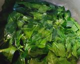 Foto langkah ke 1 dari resep Chaya Tumis daun pepaya Jepang.