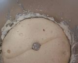 Foto del paso 2 de la receta: Pan de molde con harina de centeno en Thermomix