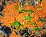 Foto langkah ke 6 dari resep Oseng Daging Mercon Legend.