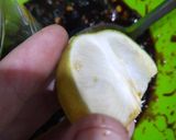 Foto langkah ke 3 dari resep Sambal kecap sup daging.