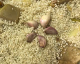 Foto del paso 3 de la receta: Cazuelita de arroz al horno con restos del cocido