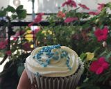 Foto del paso 6 de la receta: Cupcakes de chocolate con frutos secos