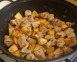 A picture of step 5 of Vickys Pork & Apple Casserole, GF DF EF SF NF.