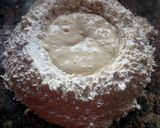 Foto del paso 2 de la receta: Pan casero xl (relleno)