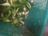 Oseng Nangka Muda Daun Melinjo