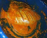 Foto langkah ke 3 dari resep Ikan bakar Double Pan.