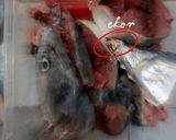 Foto langkah ke 1 dari resep Sop Ikan Tongkol.