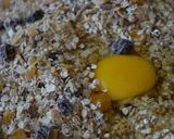 Foto del paso 2 de la receta: Galletas de avena, miel y granola