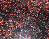 Foto del paso 5 de la receta: Dulce de moras
