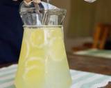 蜂蜜檸檬 | Lemonade食譜步驟4照片
