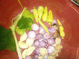 Opor ayam kampung