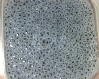 Es Ambyar Endolita - Step 3