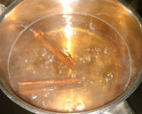 Foto del paso 3 de la receta: Bebida astringente