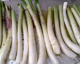 Foto del paso 1 de la receta: Calçots al horno