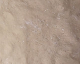 Foto del paso 4 de la receta: Pizza margarita en sartén 🍕