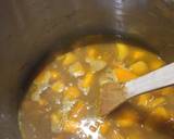 Coconut Pumpkin Soup recipe step 4 photo