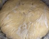 A picture of step 9 of Traditional Panettone.