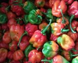 Foto langkah ke 7 dari resep Sambal Gerinang (Belimbing Wuluh) Mix Cabe Peranggi.