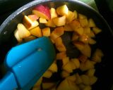 Foto langkah ke 2 dari resep Fried apple pie (kulit molen).