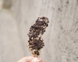 Foto langkah ke 4 dari resep Banana crispy (versi modern).