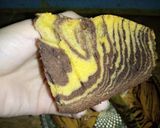 A picture of step 6 of Zebra Cake Recipe.