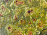 પાલક પરાઠા (Palak Paratha Recipe In Gujarati)