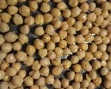 A picture of step 1 of Warm potato, chickpea and salmon salad.