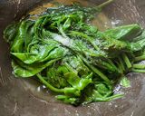 A picture of step 2 of Gnudi.