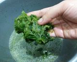 Foto langkah ke 2 dari resep Cincau ijo asli.