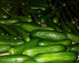 عکس مرحله 1 از دستور خیار‌شور خانگی
