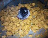 A picture of step 9 of Smoked chicken tikka chunks.