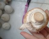 Φωτογραφία βήματος 1 της συνταγής Μανιτάρια με κριθαράκι