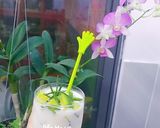 Hình bước làm 3 của món Bơ dằm sữa chua
