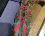 Foto langkah ke 1 dari resep Lobster Asam Manis.
