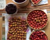 A picture of step 5 of Umeboshi- Japanese pickled plums / salt-preserved plums.