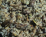 Foto del paso 5 de la receta: Arroz con secreto, setas y alcachofa