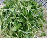 Hình bước làm 1 của món Rau mầm trộn dầu giấm