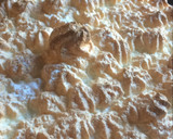 Foto del paso 11 de la receta: Lemon pie muy rico