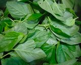 Foto langkah ke 1 dari resep Sayur Bening Bayam dan Oyong.