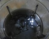 A picture of step 4 of Mint refreshing Drink.