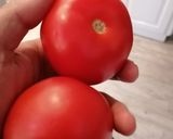 A picture of step 2 of Ratatouille.
