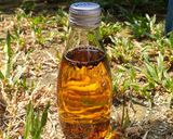 Foto langkah ke 3 dari resep Sun Tea.
