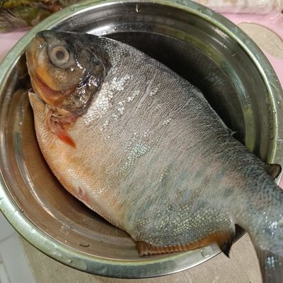 Langkah 1